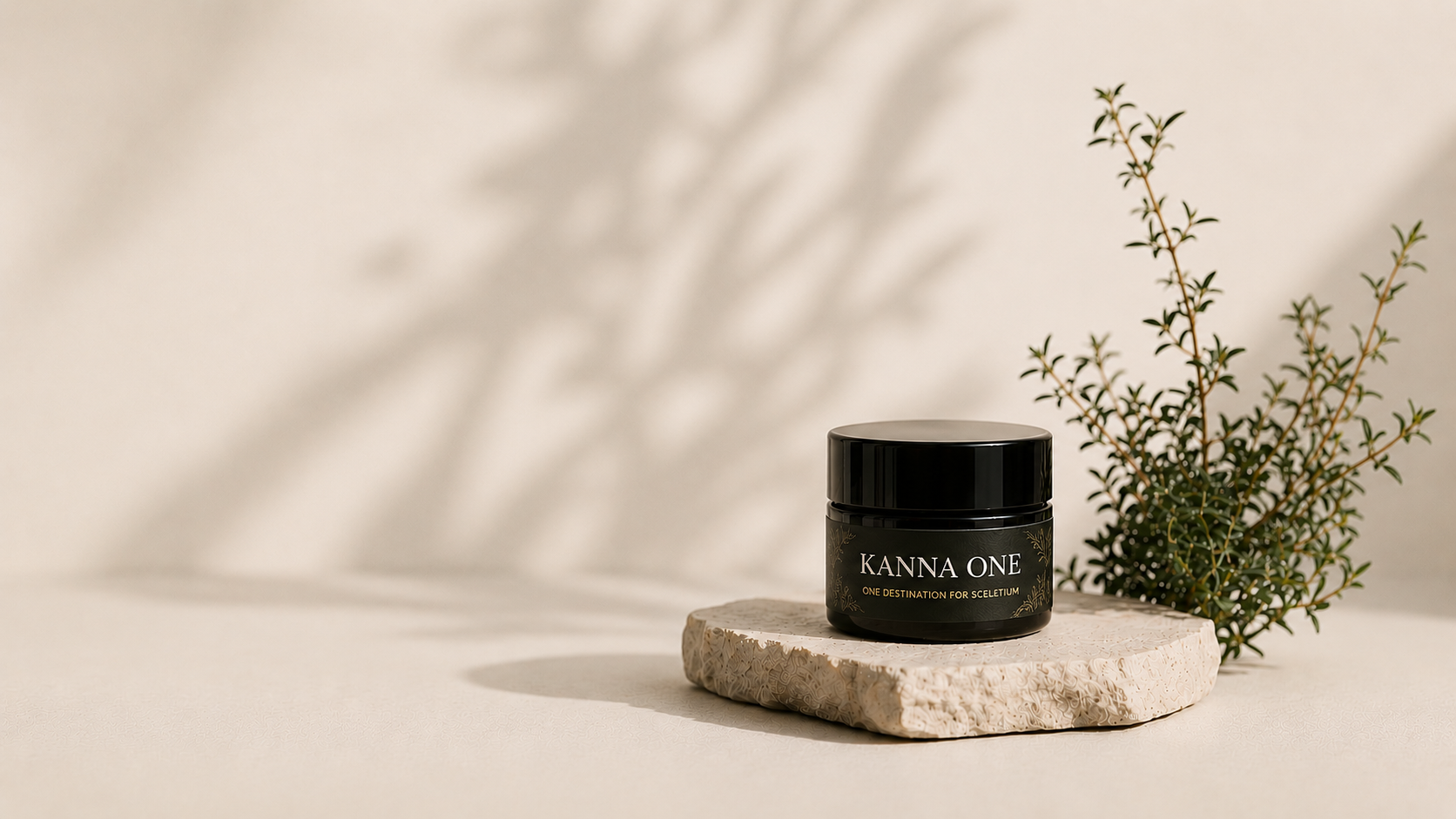 Kanna One jar on a stone
